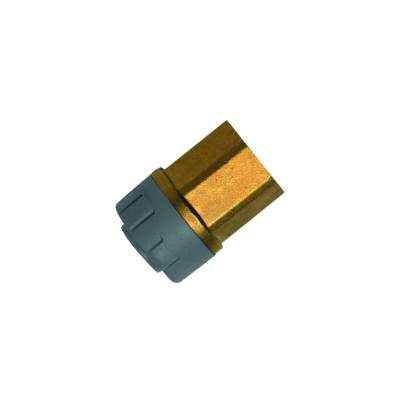 POLYPLUMB BRASS FEMALE BSP ADAPTOR