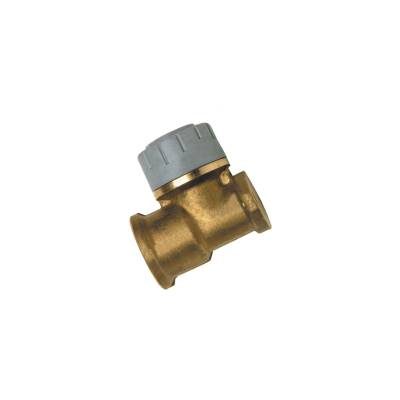 POLYPLUMB BRASS WALLPLATE ELBOW