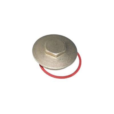 BRASS IMMERSION HEATER PLUG & WASHER