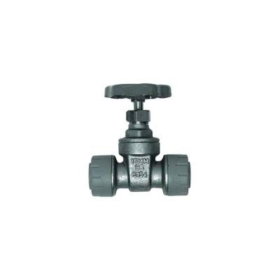 POLYPLUMB GATE VALVE