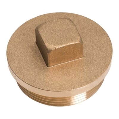 Brass Flanged Plug