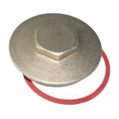 Brass Immersion Heater Plug & Washer 2.1/4", Plumb Parts Glasgow