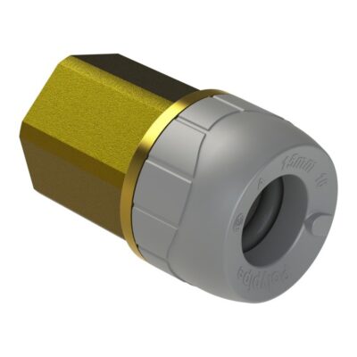 Polyplumb Brass Female BSP Adaptor